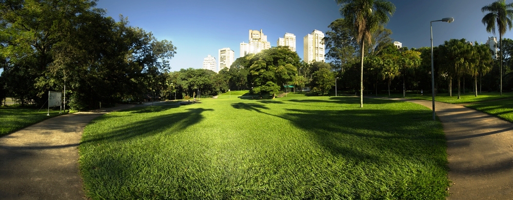 lugares para tirar fotos em São Paulo: Parque Burle Marx